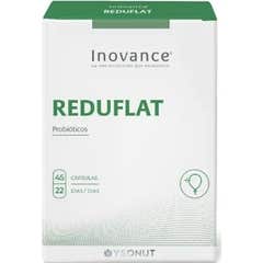 Ysonut Inovance Reduflat 45 gélules
