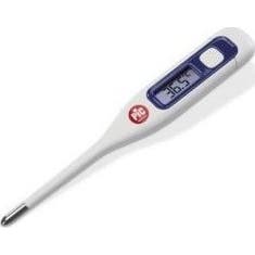 Pic Thermomètre Électronique Vedo Digit 2
