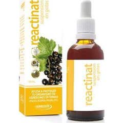 Pharmasor Reactinat (groseille, helicrisum, prêle, fumeterre, pensée) 50ml