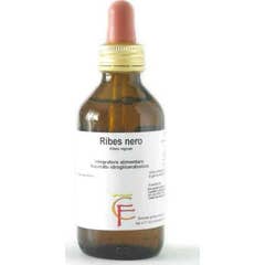 Centro Fiori Ribes Gemme Macérat Glycériné 100ml
