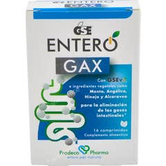 Gse Entero Gax Rapid Digestif aux Graines de Pamplemousse 12comp