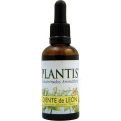 Maese Herbario Extrait de Pissenlit 50ml