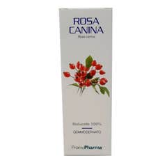 PromoPharma Rose Musquée 50ml