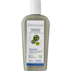 Dermaclay Shampooing Traitant Pellicules 250ml