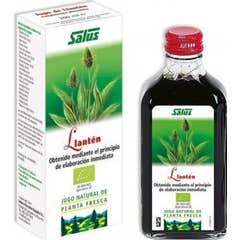 Salus Llanten Expectorant Sirop 250ml
