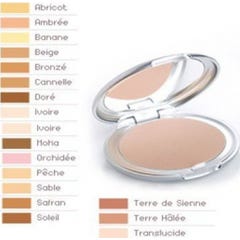 Poudre Compacte Bronzé