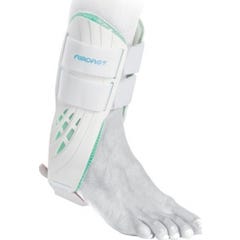 Orth Aircast Chev Class Ii G T