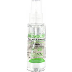 Déoroche Spray D'Alun Du Panama 75ml