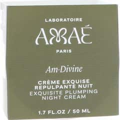 Amaé Am Divine Crème Exquise Repulpante Nuit Recharge 50 ml