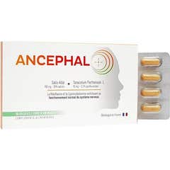 Naturveda Ancephal 30caps