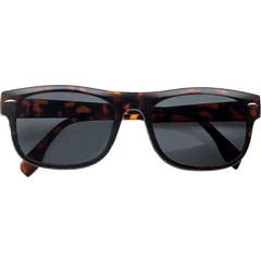Acofar Nesira lunettes Clip Sol Polarisées +3 1 ud