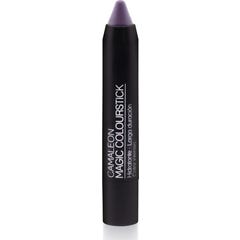 Camaleon Magic Colour rouge à lèvres gris/pourpre 4g 1 Unité
