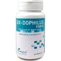 PlantaPol Six-Dophilus Forte 60caps PlantaPol Six-Dophilus Forte 60caps