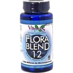 Vbyotics Florablend Probioticos 60caps