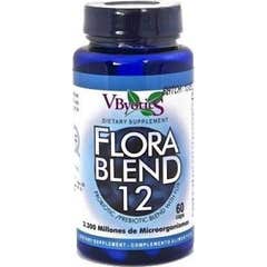 Vbyotics Florablend Probioticos 60caps