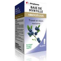 Arkopharma Arkogélules Myrtille Baie 45 gélules
