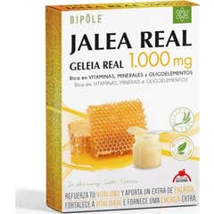 Intersa Gelée Royale Adultes 1000mg 20 Ampoules