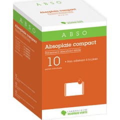 Absoplaie Comp Pans Abs 10X20Cm 10