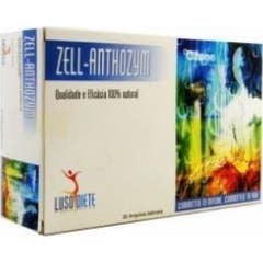 Lusodiete Zell-Anthozym 30 Ampoules