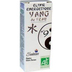 5 Saisons Elixir Nº9 Yang Of Water Eco 50ml