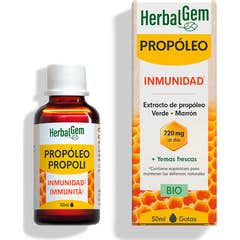 Herbalgem Propolis organique à large spectre en gouttes 50ml