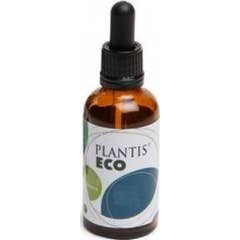 Brosse Ext. de Plantis 50ml
