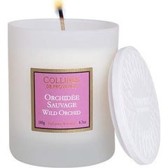 Collines de Provence Bougie Orchidee Sauvage 180g