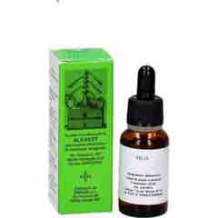 Alkaest Mgs18 Glycérine Macérée de Ronce 20ml