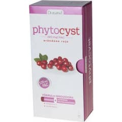 Phytocyst Arandano Rojo 250 Ml *