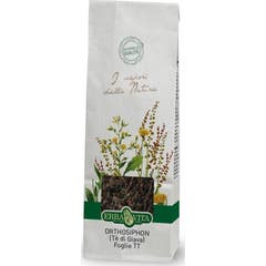 Erba Vita Ortosiphon Tt 100g