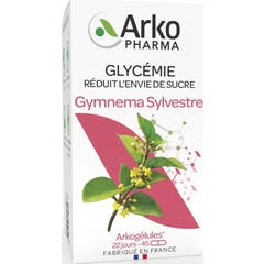 Arkopharma Arkogélules Gymnema Sylvestre 45 gélules