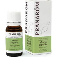Pranarôm Huile Essentielle Menthe Poivrée 10ml