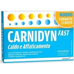 Carnidyn Fast Hot And Fatigue Supplément 12 Sachets