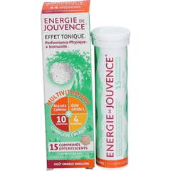 Jouvence Energie de Jouvence 15comp