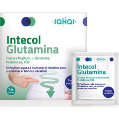 Sakai Intecol Glutamine 15 Sachets
