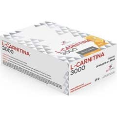 Keforma L Carnitine 3000mg Orange 24x25ml