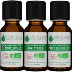 Voshuiles Kit Les 3 Huiles Essentielles Indispensables Bio