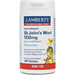 Lamberts Comp Hiperico 120 Comp Lamberts Comp Hiperico 120 Comp