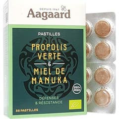 Aagaard Pastilles Propolis Verte & Miel de Manuka 36 Pastilles