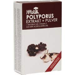Hawlik Polypore Ombrag 60caps