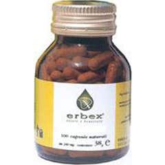 Erbex Fenouil 380mg 100caps