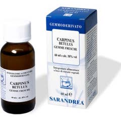 Sarandrea Carpinus Betulus Gemoderivate 60ml