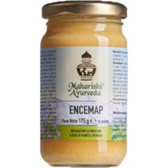 Carte Encemap Pasta 175G