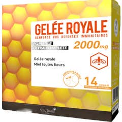Dr Smith Gelée Royale 2000mg 14 ampoules
