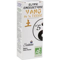 5 Saisons Elixir Nº5 Yang Of The Earth Eco 50ml