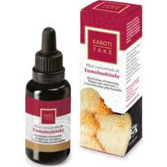 Hiranyagarba Karoti-Take Yamabushitake 30ml