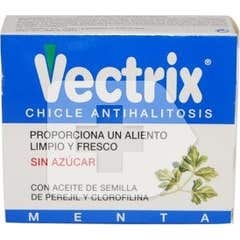 Vectrix saveur menthe 59g