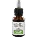 Vitaflor Extrait de Bourgeons Bio Bouleau 15 mL