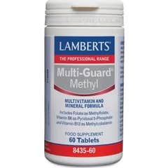 Lamberts Multi Guard Méthyle 60comp
