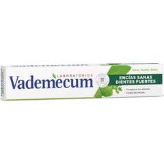 Vademecum Dentifrice pour Gencives Saines et Fortes 75ml